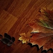 МЕРБАУ L ШТУЧНЫЙ ПАРКЕТ KOMOFLOOR