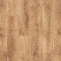 ДУБ МАКАДАМИЯ