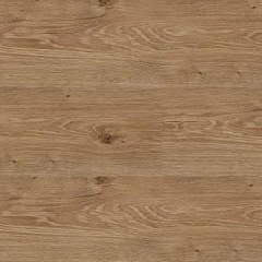 ДУБ АЛЬМАДИ