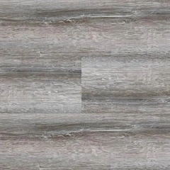 СОСНА АСАХИ