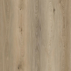 ДУБ БЕНЖАМИН