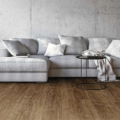 ДУБ ЭЛЕГАНЗА ДЫМЧАТЫЙ