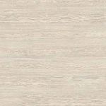 ДУБ СОРИЯ БЕЛЫЙ