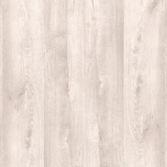 ДУБ ТРАФАЛЬГАР