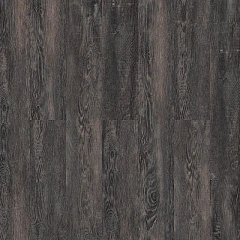 ДУБ МОРЁНЫЙ