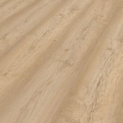 ДУБ ПАСТЕЛЬНЫЙ