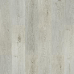 ДУБ ДАЛЬНЕВОСТОЧНЫЙ