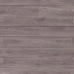 ДУБ КАМВУНИЯ СЕРЫЙ