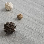 ДУБ КАШЕМИР