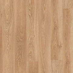 ДУБ БЕЛЁНЫЙ