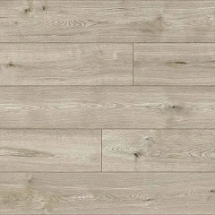 ДУБ РОЧЕСТЕР