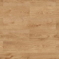 ДУБ КАЛАМБА