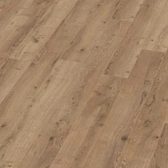 ДУБ НЕБРОСКИЙ