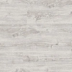 ДУБ УОЛТЕМ БЕЛЫЙ