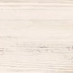 СОСНА БЕЛАЯ ЗАТЁРТАЯ