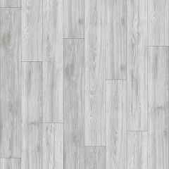 ДУБ ШЕРИДАН