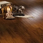 ДУБ АНТИЧНЫЙ