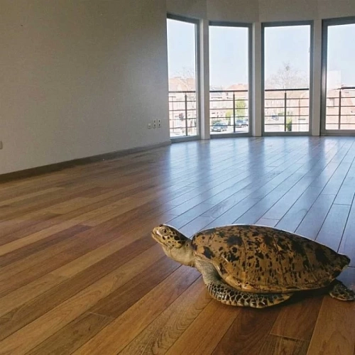 ТИК МАССИВНАЯ ДОСКА MARQUISE PARQUET