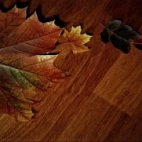 МЕРБАУ L ШТУЧНЫЙ ПАРКЕТ KOMOFLOOR