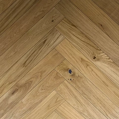 ДУБ РАВЕННА