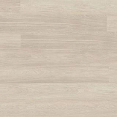 ДУБ АЛЬПИЙСКИЙ