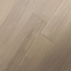 ДУБ БРИСБЕН