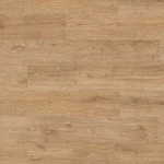 ДУБ ИЛЬМЕНЬ