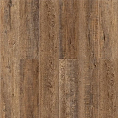 ДУБ РОБУСТА