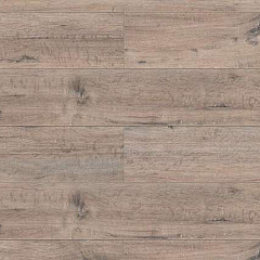 ДУБ ВИНДЗОР