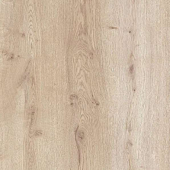 ДУБ ЛАГУНА БЛАНКА