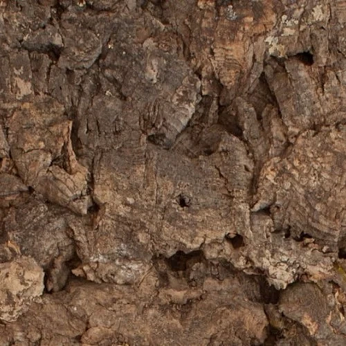 MATO ПРОБКОВОЕ ПОКРЫТИЕ WICANDERS ПРОБКОВЫЕ ПАНЕЛИ ДЛЯ СТЕН EXOTIC