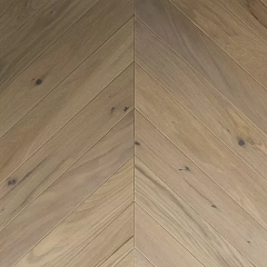 ДУБ АМАЗОНКА