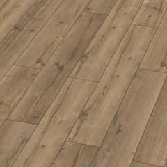 ДУБ КАТАНИЯ