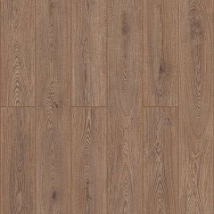 ДУБ ГЕРБЕРТ