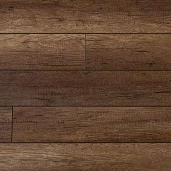 ДУБ ДОНКАСТЕР