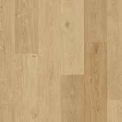 ДУБ БЕРЕГОВОЙ БЕЖЕВЫЙ