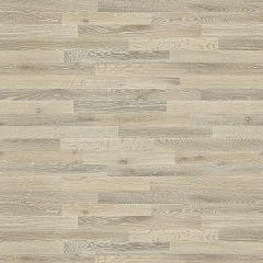 ДУБ СЕРЕБРЯНЫЙ