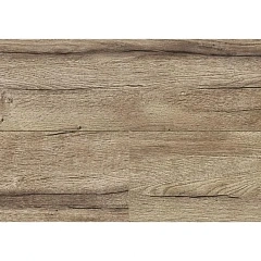 ДУБ СУРИКАТЕ