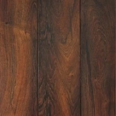 ДУБ РОЧЕСТЕР