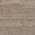 ДУБ МУРОМ СЕРЫЙ