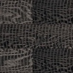 SHAGREEN SKIN SHAGREEN SKIN