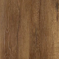 ДУБ МОРЕНЫЙ