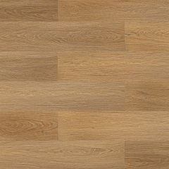 ДУБ ШАМПАНЬ