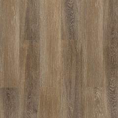 ДУБ БАЛЬЗАТОВЫЙ