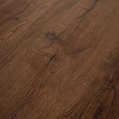 ДУБ АМБАРНЫЙ