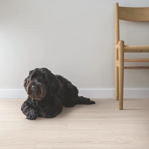 ДУБ ЛАГОМ СВЕТЛО-БЕЖЕВЫЙ ЛАМИНАТ  PERGO  KALMAR ламинат для пола