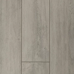 ДУБ РАУТ