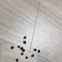 ЛАМИНАТ LOC FLOOR PLUS ДУБ БЕЛЕНЫЙ КЛАССИЧЕСКИЙ № 19771 ДУБ БЕЛЕНЫЙ КЛАССИЧЕСКИЙ ЛАМИНАТ LOC FLOOR PLUS