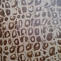 TURTLE BEIGE КОЖАНЫЕ ПОЛЫ  RUSCORK в интерьере 