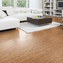 NA22019 RD 300 772 ПРОБКОВОЕ ПОКРЫТИЕ VISCORK ПРОБКОВЫЙ ПОЛ КЛЕЕВОЙ ORGANIC COLOR CORK